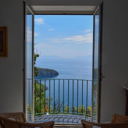 Il Giardino Selvatico Di Succellario - Apartments Barano dʼIschia Kültér fotó