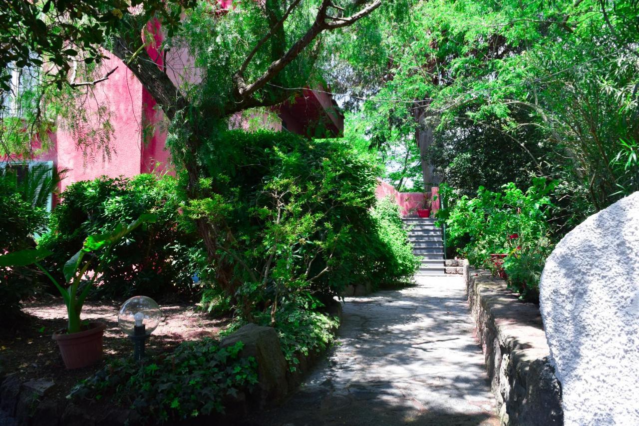Il Giardino Selvatico Di Succellario - Apartments Barano dʼIschia Kültér fotó