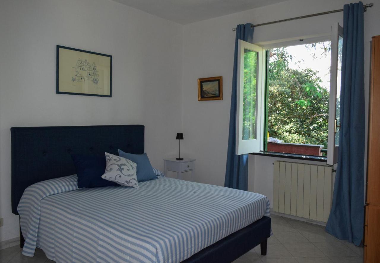 Il Giardino Selvatico Di Succellario - Apartments Barano dʼIschia Kültér fotó