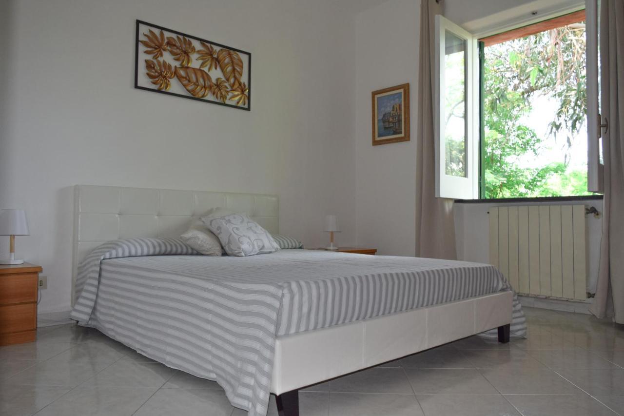 Il Giardino Selvatico Di Succellario - Apartments Barano dʼIschia Kültér fotó